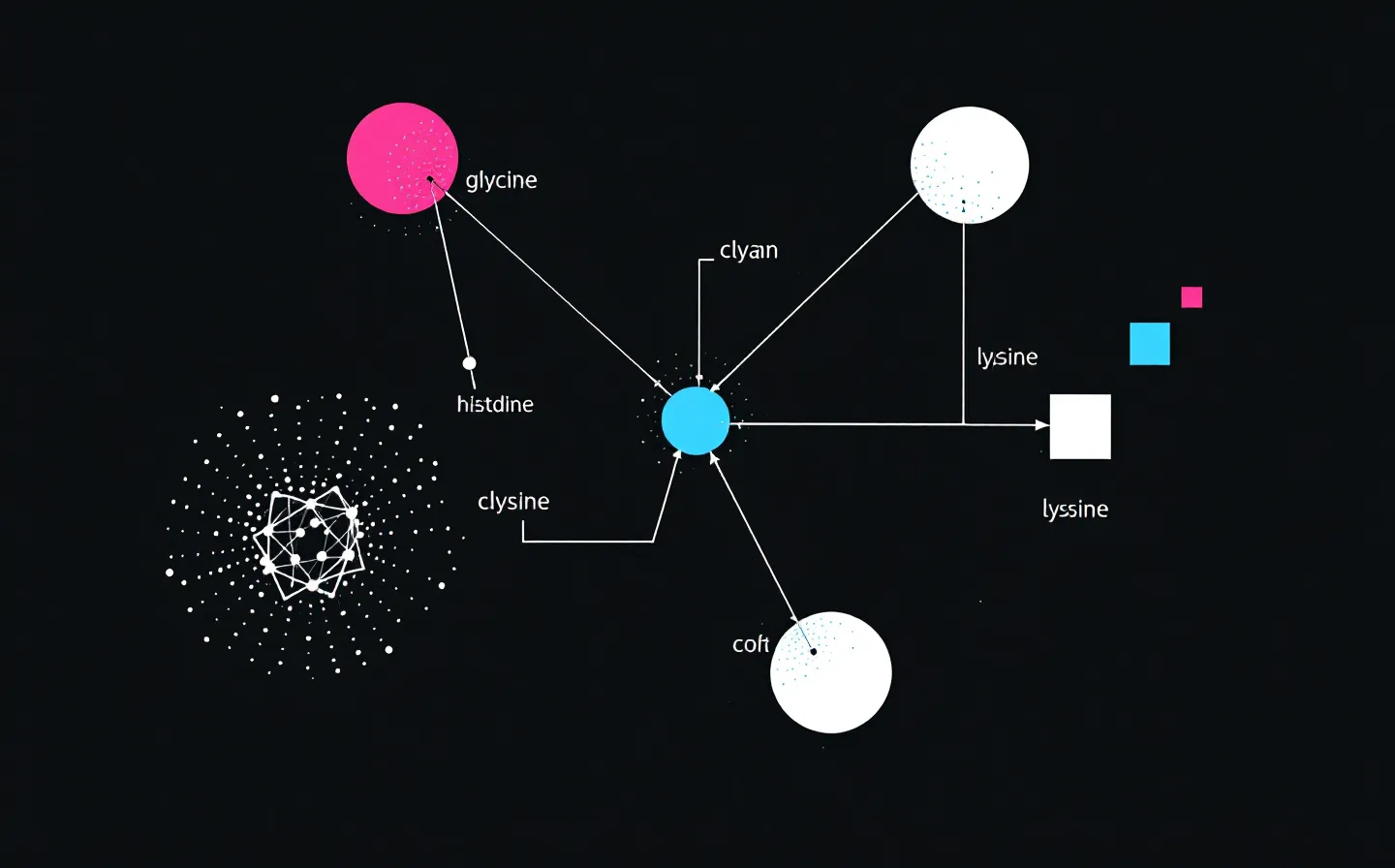 Art-directed flat magenta-and-cyan spot illustration of a copper(II) coordination center bonded to an abstract three-residue tripeptide chain on a deep ink-charcoal ground